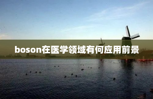 boson在医学领域有何应用前景