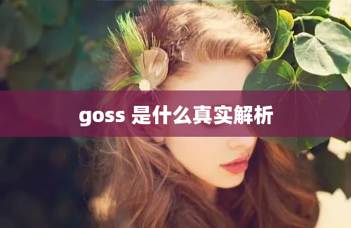 goss 是什么真实解析