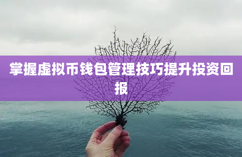 掌握虚拟币钱包管理技巧提升投资回报