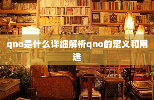 qno是什么详细解析qno的定义和用途