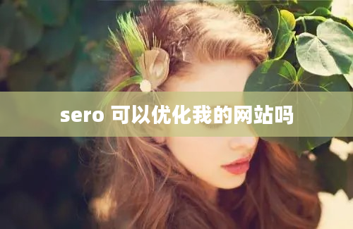 sero 可以优化我的网站吗