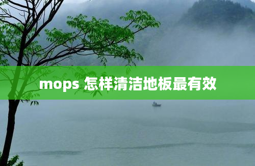 mops 怎样清洁地板最有效