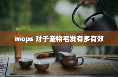 mops 对于宠物毛发有多有效