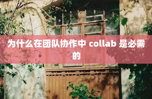 为什么在团队协作中 collab 是必需的