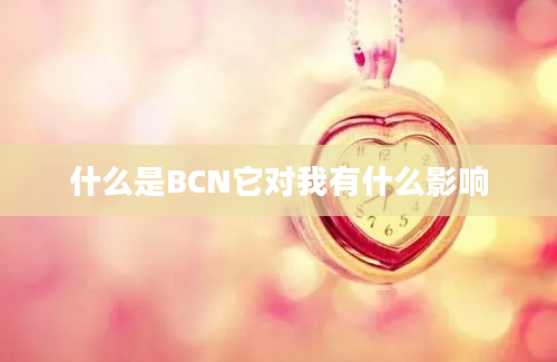 什么是BCN它对我有什么影响