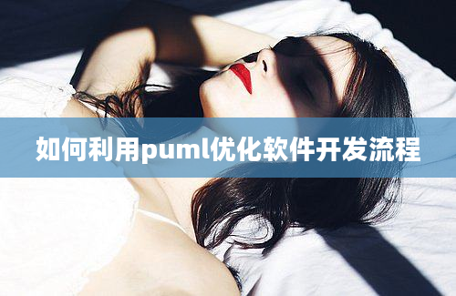 如何利用puml优化软件开发流程