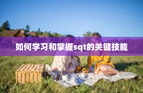 如何学习和掌握sqt的关键技能