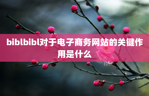 biblbibl对于电子商务网站的关键作用是什么