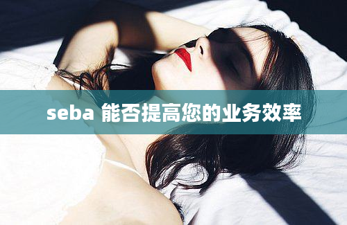 seba 能否提高您的业务效率