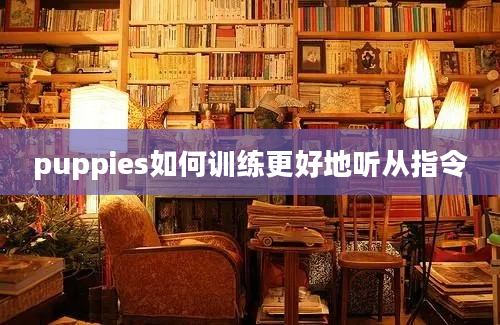 puppies如何训练更好地听从指令