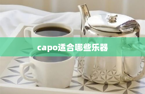 capo适合哪些乐器