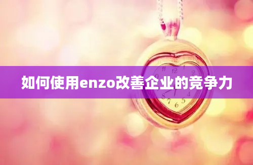 如何使用enzo改善企业的竞争力