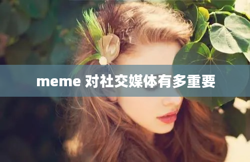 meme 对社交媒体有多重要