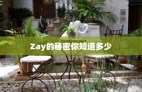 Zay的秘密你知道多少