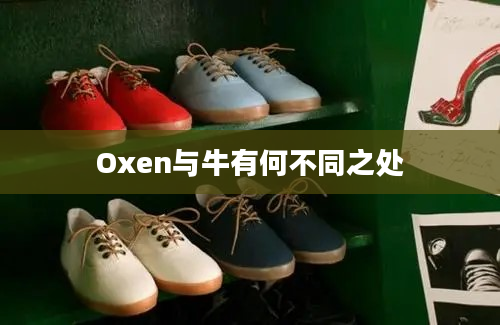 Oxen与牛有何不同之处