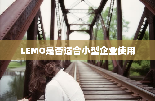 LEMO是否适合小型企业使用