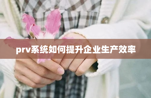 prv系统如何提升企业生产效率