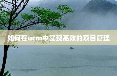 如何在ucm中实现高效的项目管理