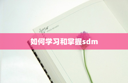 如何学习和掌握sdm