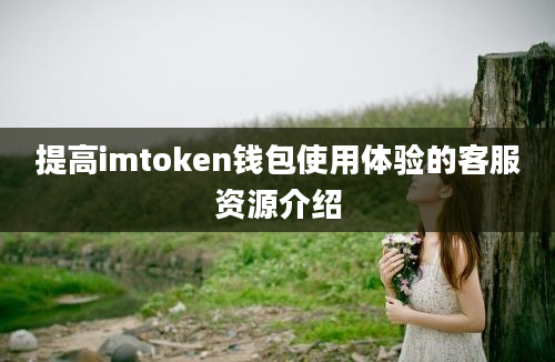 提高imtoken钱包使用体验的客服资源介绍