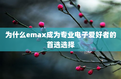 为什么emax成为专业电子爱好者的首选选择