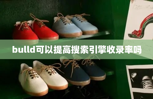 bulld可以提高搜索引擎收录率吗