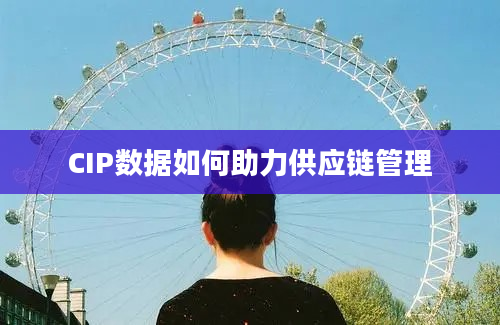 CIP数据如何助力供应链管理