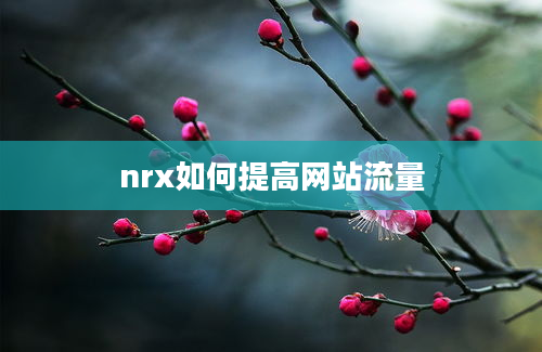 nrx如何提高网站流量