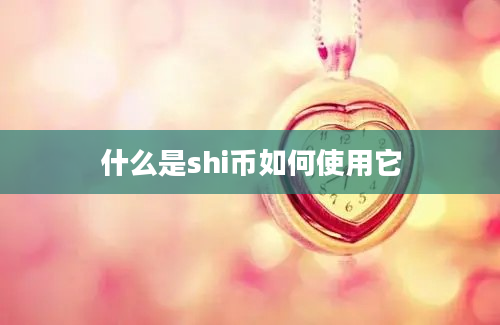 什么是shi币如何使用它