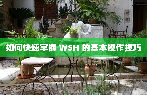 如何快速掌握 WSH 的基本操作技巧