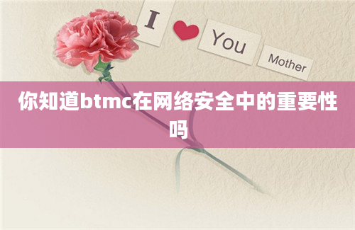 你知道btmc在网络安全中的重要性吗