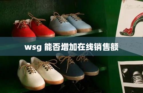 wsg 能否增加在线销售额