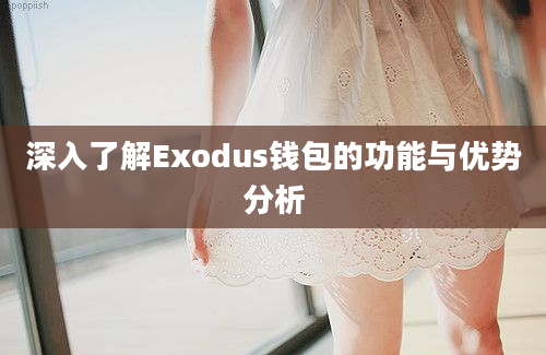 深入了解Exodus钱包的功能与优势分析