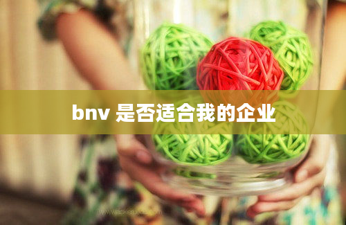 bnv 是否适合我的企业