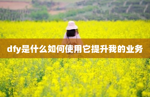 dfy是什么如何使用它提升我的业务