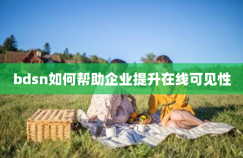 bdsn如何帮助企业提升在线可见性