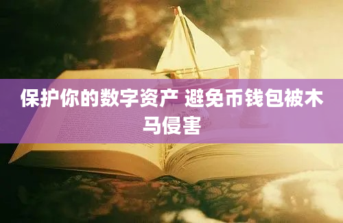 保护你的数字资产 避免币钱包被木马侵害