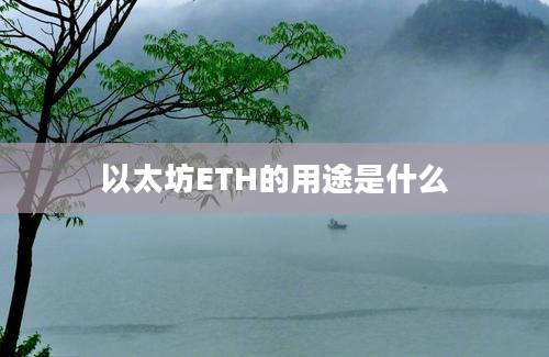 以太坊ETH的用途是什么