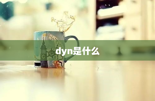 dyn是什么