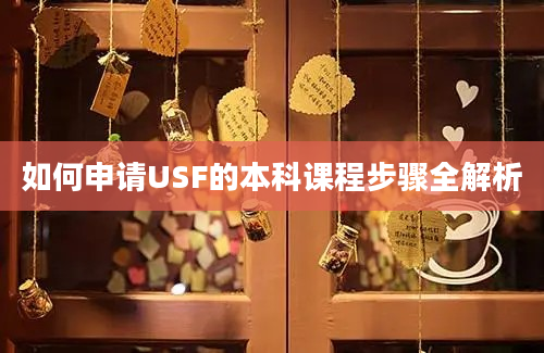 如何申请USF的本科课程步骤全解析