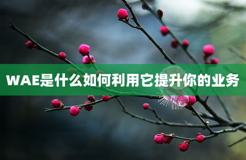 WAE是什么如何利用它提升你的业务