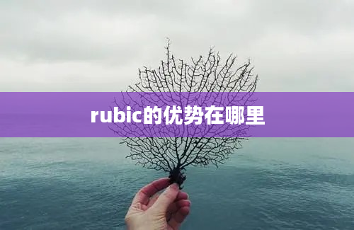 rubic的优势在哪里