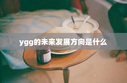 ygg的未来发展方向是什么