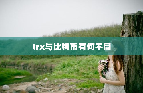 trx与比特币有何不同