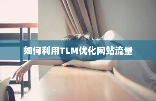 如何利用TLM优化网站流量