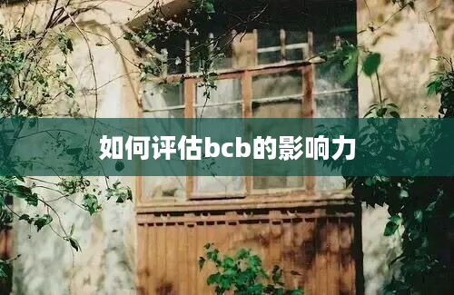 如何评估bcb的影响力