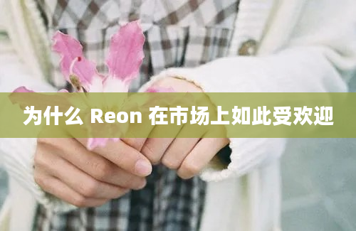 为什么 Reon 在市场上如此受欢迎