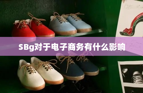 SBg对于电子商务有什么影响