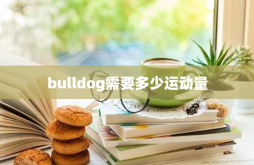 bulldog需要多少运动量