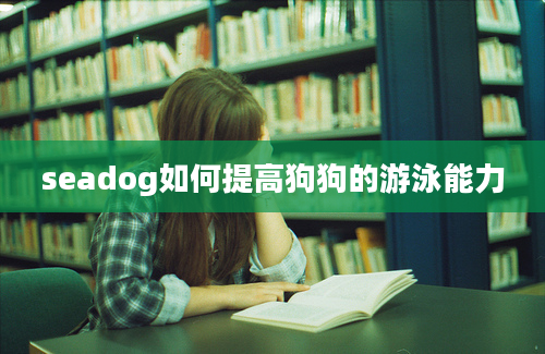 seadog如何提高狗狗的游泳能力